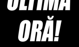 Doliu în lumea filmului! Celebrul bărbat s-a SINUCIS